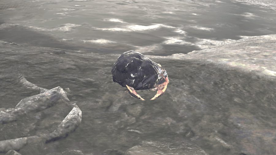 Crudeshell Crab In-Game