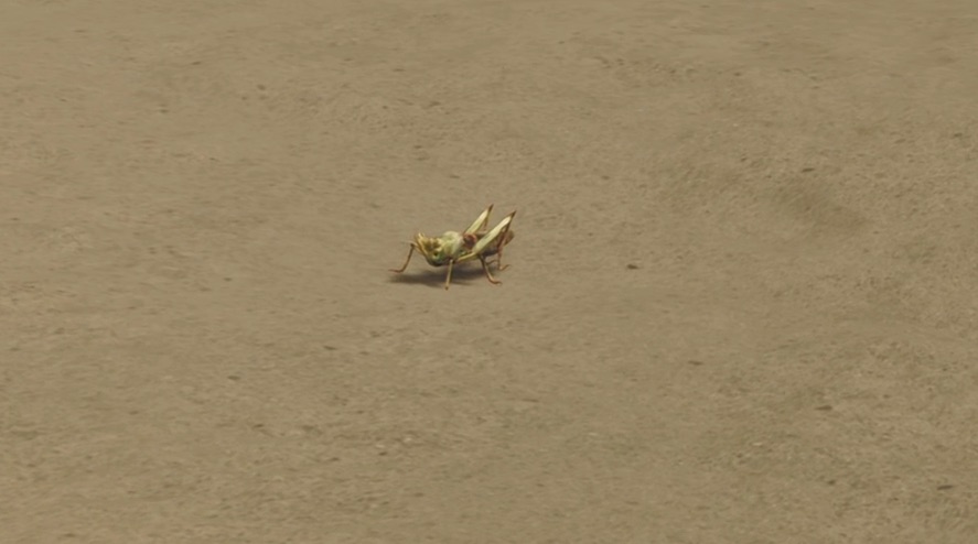 Emperor Hopper In-Game