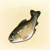 Lulab Trout Icon