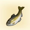 Faraway Sweetfish Icon