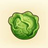 Cabbage Icon