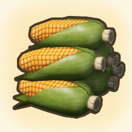 Pile of Corn