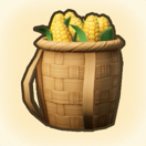 Basket of Corn
