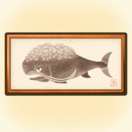 Plains Lordfish Print