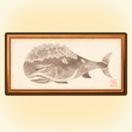 Cherry Lordfish Print