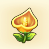 Yellow Anthurium