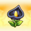 Black Anthurium Icon