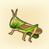 Common Hopper Icon