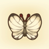 White Butterfly Icon