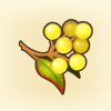 Rejuvenating Berries Icon
