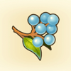 Wakeup Berries Icon