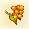 Antipara Berries Icon