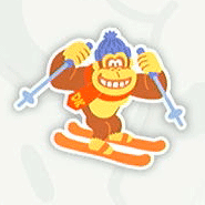 DK Pass Sticker