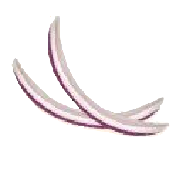 Onion