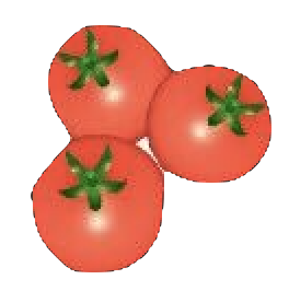 Tomato