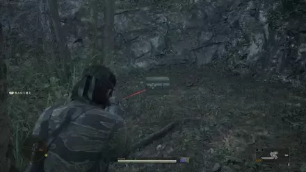 Chaff Grenade Dremuchij South Overworld