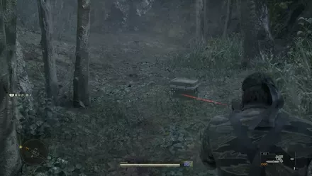 Grenade Dremuchij South Overworld