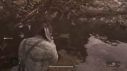 Chaff Grenade Ponizovje South Overworld