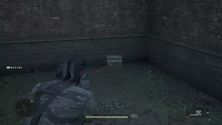 Claymore Graniny Gorki Lab Exterior: Inside Walls Overworld