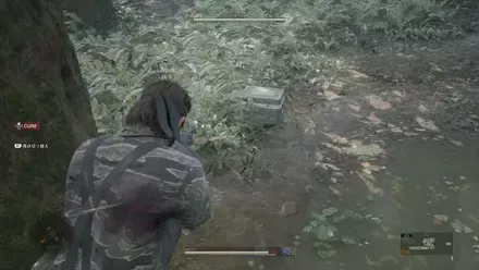 Grenade Graniny Gorki South Overworld