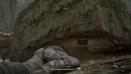 LF Med Tikhogornyj Overworld