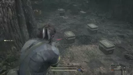 Grenade Zaozyorje West Overworld