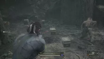 Stun Grenade Zaozyorje West Overworld