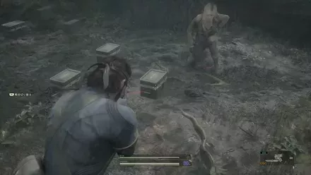 Smoke Grenade Zaozyorje West Overworld