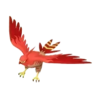 Talonflame Image