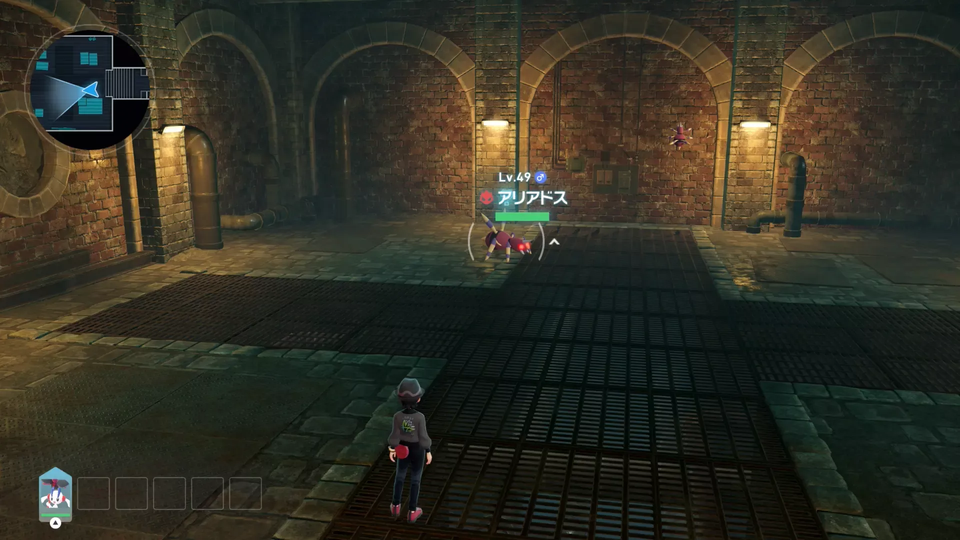 Alpha Ariados Overworld Location