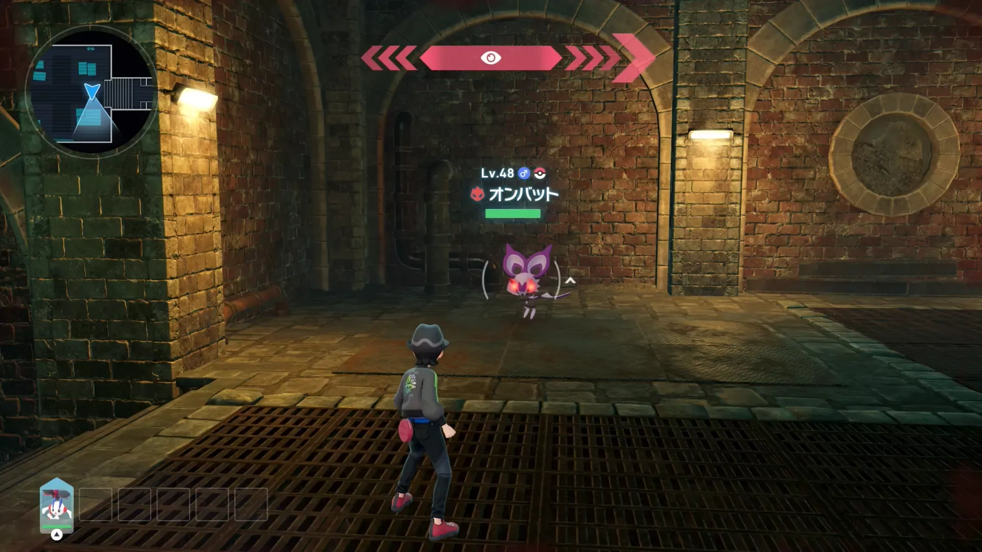 Alpha Noibat Overworld Location