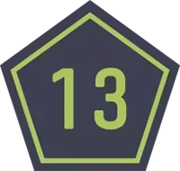 Wild Zone 13 Emblem