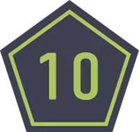 Wild Zone 10 Emblem