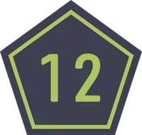 Wild Zone 12 Emblem