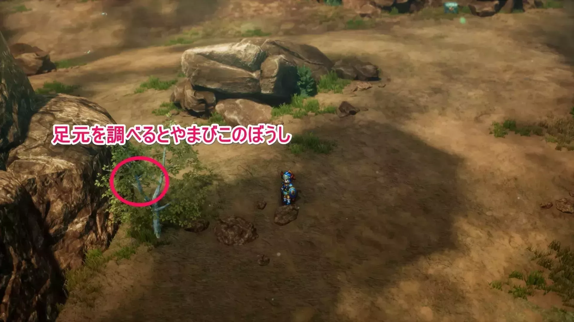 DQ1- Secret Spot 08 Location
