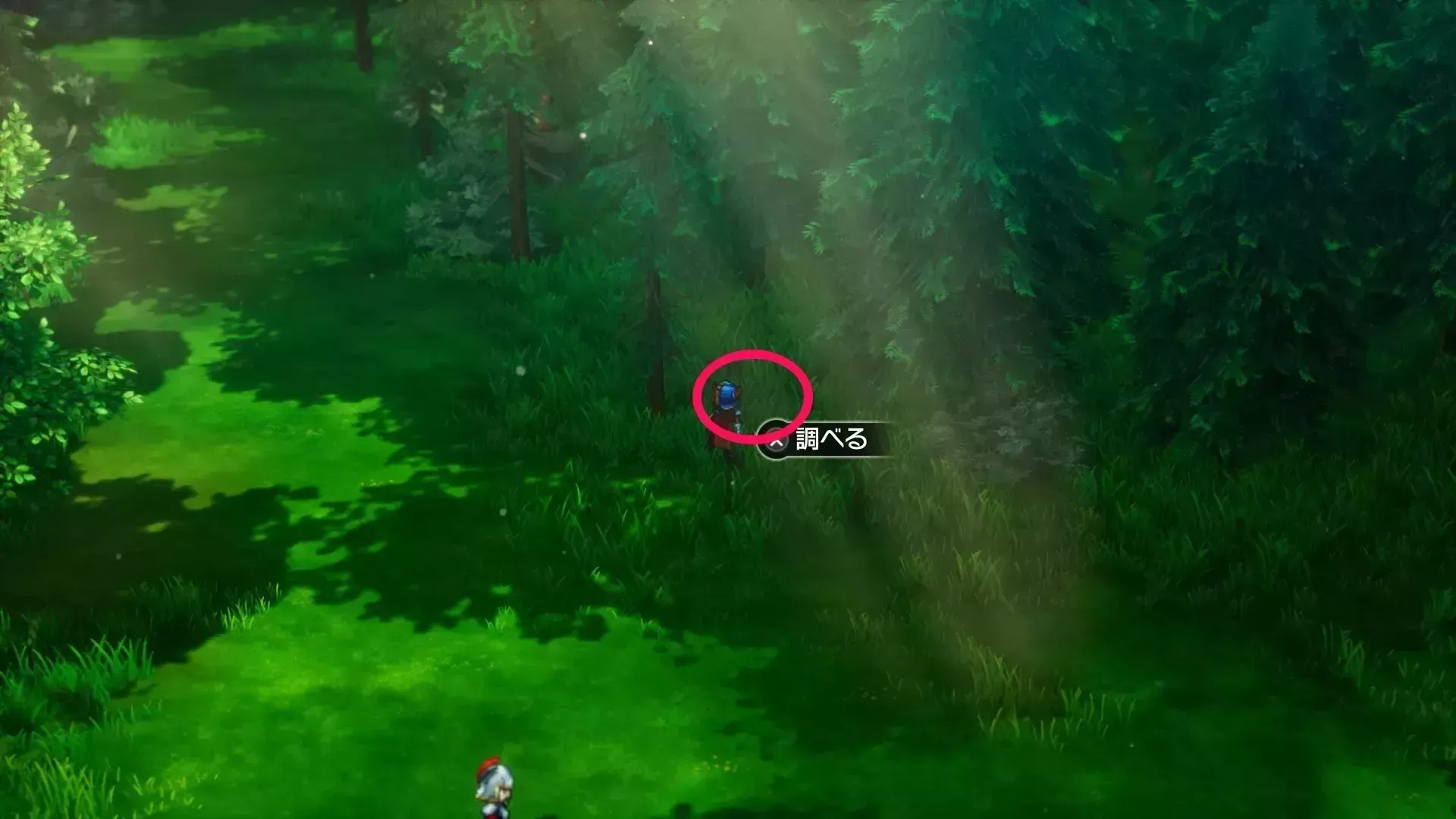 DQ1- Secret Spot 08 Location