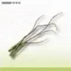 Nidwyrm Whiskers Item