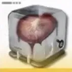 Bloodcap Mycelia Item