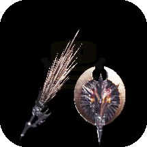 Nergigante Layer Image