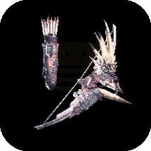 Nergal Whisper Bow Image