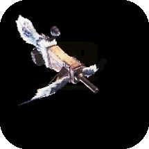 Kadachi Lion Ⅰ Bowgun Image