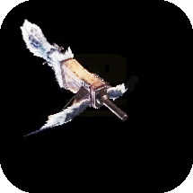 Pulsar Shooter Ⅲ Bowgun Image