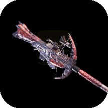 Rathbuster ⅠⅠ Bowgun Image