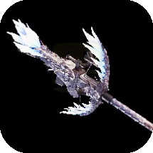 Xeno Neqiina+ Bowgun Image