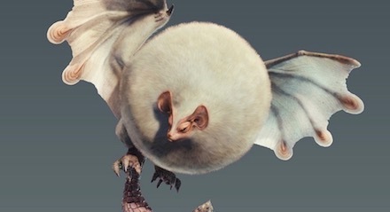 Monster Hunter World Paolumu