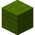 Green Wool Icon
