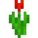 Red Tulip Icon