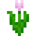 Pink Tulip Icon