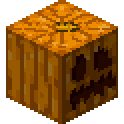 Carved Pumpkin Icon