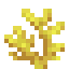 Horn Coral Icon